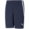 Spodenki Puma teamLIGA M 704924 06 (70492406)