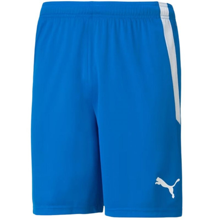 Spodenki Puma teamLIGA M 704924 02 (70492402)