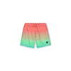 Szorty kąpielowe O'Neill Jack Cali Gradient 14'' Swim Shorts Jr (92800613570)