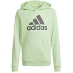 Bluza adidas Big Logo Hoodie Jr (IS2591)