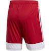 Spodenki adidas Tastigo 19 Shorts M (DP3681)