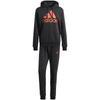 Dres adidas Big Logo Terry Track Suit M (IP5553)