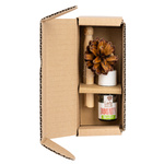 Zestaw Pani Szyszka VERTICAL IMMUNITY dyfuzor zapachowy do samochodu