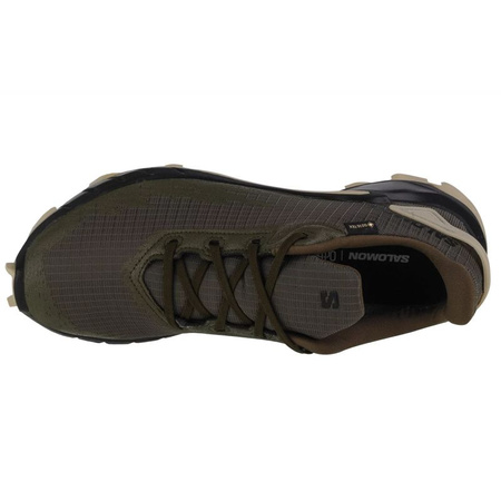 Buty do biegania Salomon Alphacross 4 GTX M  (471169)