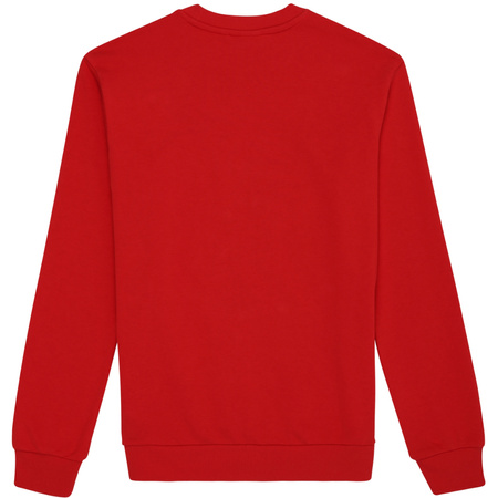 Bluza męska Fila Leverano Regular Crew Sweat czerwona (FAM0876 30002)