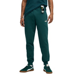 Spodnie męskie Puma ESS no.1 Logo Sweatpants FL zielone (682607 75)