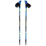 Kije trekkingowe treningowe Viking Ruten Pro Nordic Walking (650/22/5190/15/UNI)