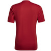 Koszulka adidas Entrada 22 Graphic Jersey M (HB0572)
