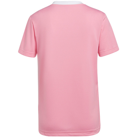 Koszulka damska adidas Entrada 22 Jersey różowa (HC5075)