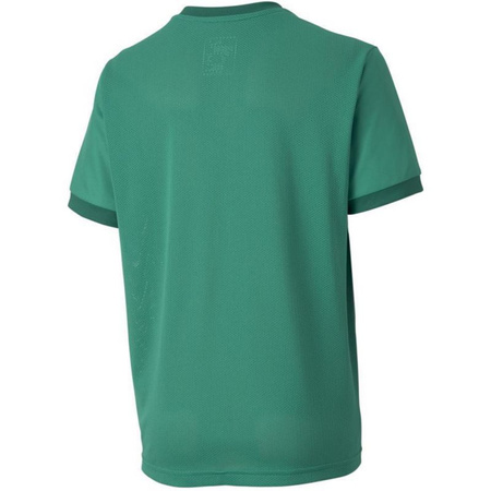 Koszulka Puma teamGOAL 23 Jersey Jr 704160 05 (70416005)
