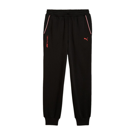 Spodnie Puma F1 ESS+ SWEATPANTS Czarny (63012301)