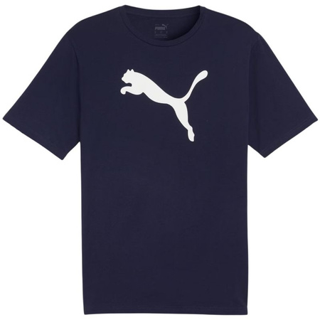 Koszulka Puma Team Rise Logo Jersey Cotton M 658705 06 (65870506)