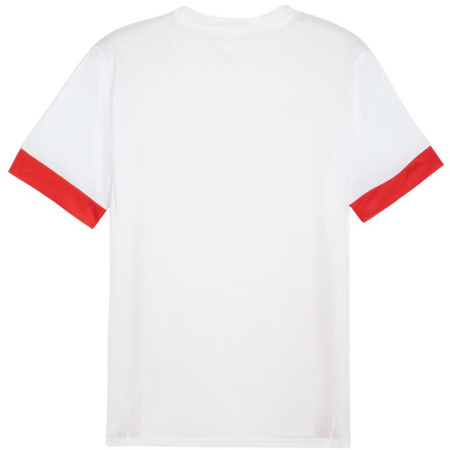 Koszulka Puma teamGoal Matchday Jersey M 705747 11 (70574711)