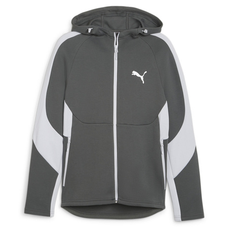 Bluza męskie Puma EVOSTRIPE FULL-ZIP HOODIE Szary (67899580)
