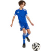 Spodenki adidas Squadra 25 Jr JN5455 (JN5455)