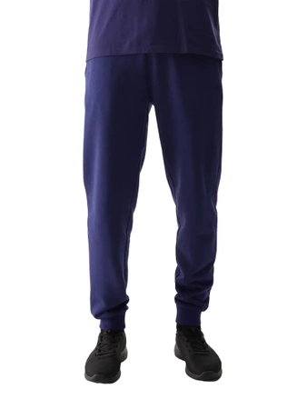 Spodnie dresowe męskie 4F bawełniane na trening fioletowe (4FWSS24TTROM603-31S)