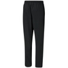 Spodnie Puma teamRise Sideline Pants M 657327 03 (65732703)