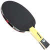 Rakietka do ping ponga Butterfly Timo Boll SG55 (85022)