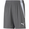 Spodenki Puma teamLIGA Shorts Jr 704931 13 (70493113)