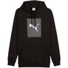 Bluza Puma Ess Logo Lab Hoodie FL M 684669 01 (1502042)