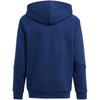 Bluza adidas Tiro 24 Sweat Hoodie Jr (IR7504)