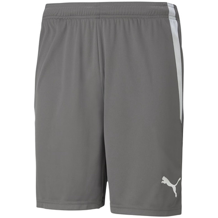 Spodenki męskie Puma teamLIGA szare (704924 13)