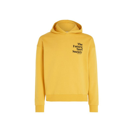 Bluza O'Neill Future Surf Society Hoodie W (92800613435)