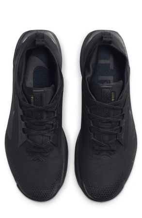 Nike W REACTX PEGASUS TRAIL 5 GTX (FQ0912-002)