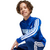 Dres adidas Seasonal Essentials Tiberio 3-Stripes Jr JC7518 (JC7518)