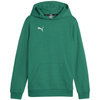 Bluza Puma Team Goal Casuals Hoddy Jr 658619 05 (65861905)