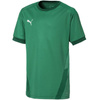Koszulka Puma teamGOAL 23 Jersey Jr 704160 05 (70416005)