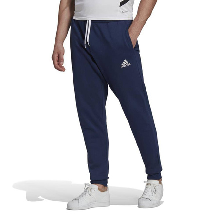 SPODNIE ADIDAS ENT22 SW PNT