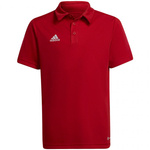 Koszulka adidas Entrada 22 Polo Jr (H57495)