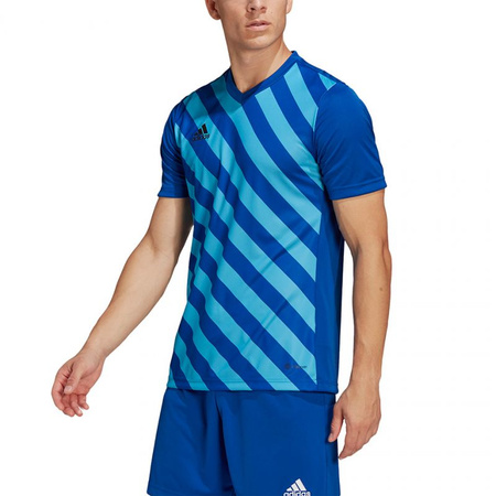 Koszulka adidas Entrada 22 Graphic Jersey M (HF0116)