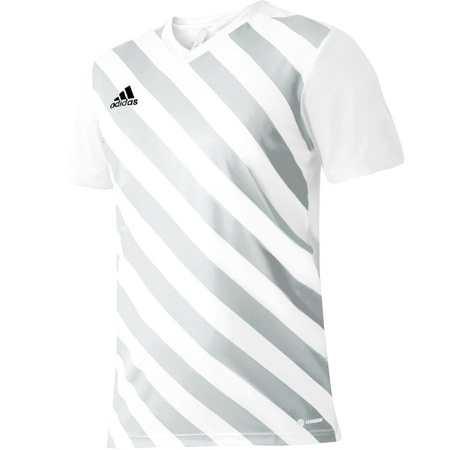 Koszulka adidas Entrada 22 Graphic Jersey M (HF0129)