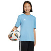 Koszulka adidas Tabela 23 Jersey Jr (IA9155)