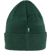 Czapka beanie Fjällräven Vardag Classic Beanie Arctic Green (F78141-667)