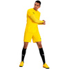 Koszulka męska Puma Liga Baselayer Tee LS żółta (655920 06)