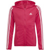 Bluza adidas Designed 2 Move 3-Stripes Hoodie Full Zip Jr (HM4485)