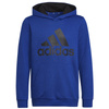 Bluza adidas Big Logo Essentials Hoody Jr (HN1912)