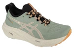 Buty do biegania męskie ASICS Gel-Nimbus 26 TR niskie przed kostkę (1011B849-250)
