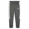 Spodnie męskie Puma EVOSTRIPE PANTS DK Szary (67899780)