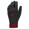 Rękawiczki Nike Liverpool FC Thermafit HO23 (FJ4857-010)