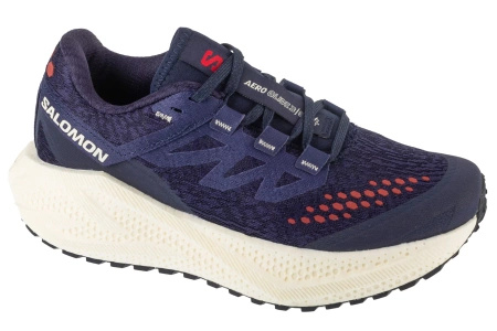 Salomon Aero Glide 3 GRVL (L47870600)