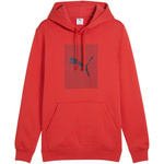 Bluza Puma Ess Logo Lab Hoodie FL M 684669 15 (1502043)