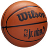 Piłka do koszykówki Wilson NBA Jr DRV Fam Logo Ball (WZ3013001XB)