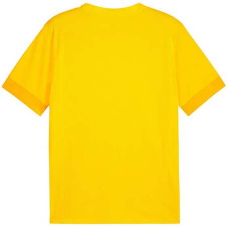 Koszulka Puma teamGoal Matchday Jersey M 705747 07 (70574707)