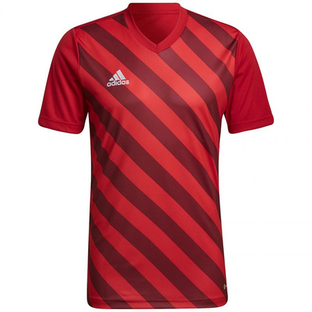 Koszulka adidas Entrada 22 Graphic Jersey M (HB0572)