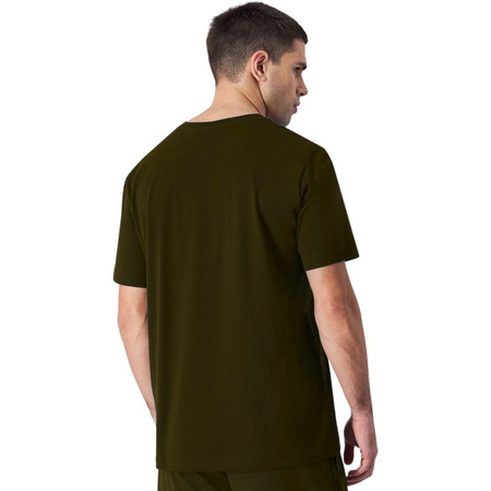 Koszulka Champion SS Tee M 220264 GS573