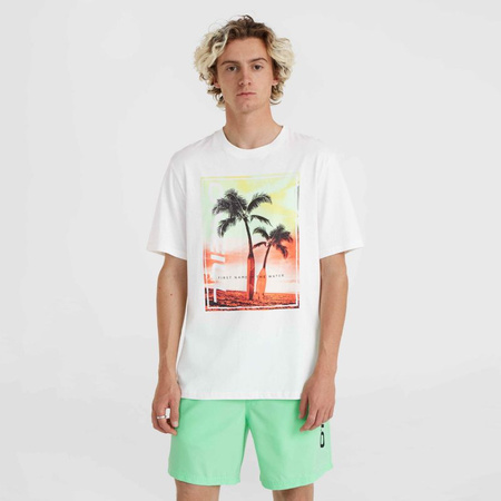 Koszulka O'Neill Jack Neon T-Shirt M (92800613598)